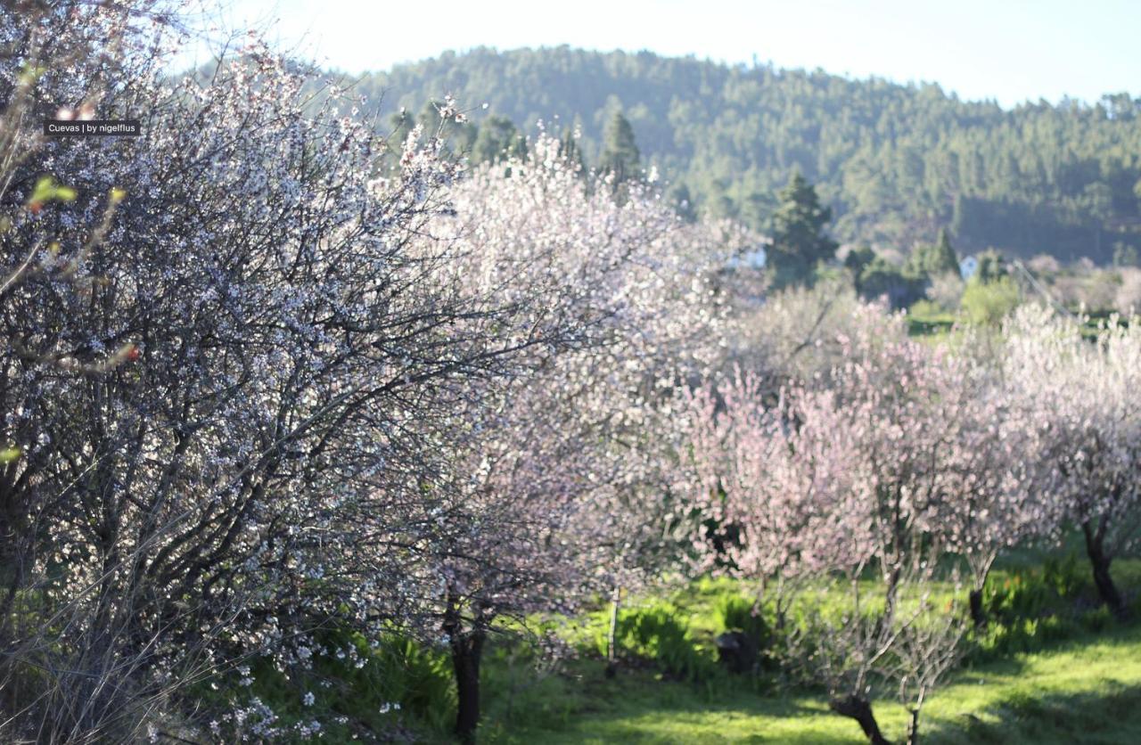 Casa Micaela Villa Garafía Dış mekan fotoğraf